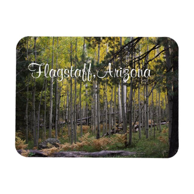 Íman Cozy spot in Flagstaff (Horizontal)