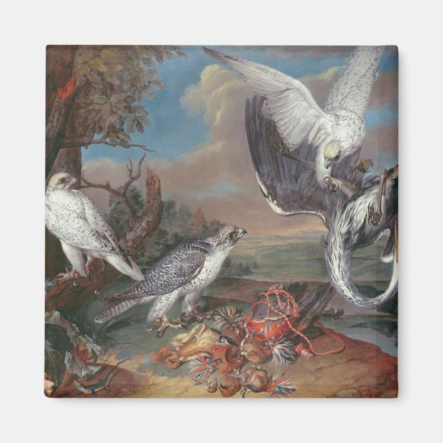 Íman Cr. Falcões da Gronelândia (Frente)