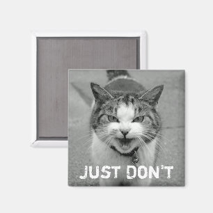 Íman Crabby Cat