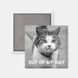 Íman Crabby Cat Magnet