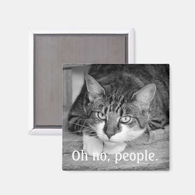 Íman Crabby Cat, "Oh não, pessoas." (Front/Back)