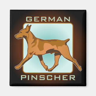 Íman Crachá de Pinscher Alemão, quadrado