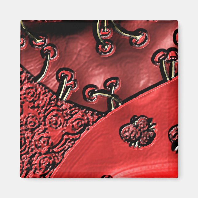 Íman Cranberry Bazaar  (Frente)