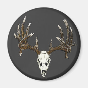 Íman Crânio 1 dos cervos de Whitetail