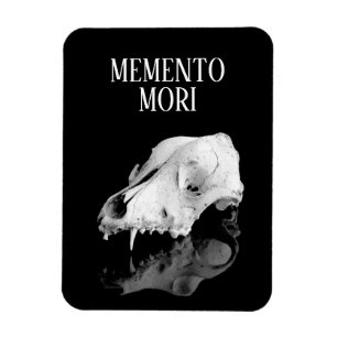 Íman Crânio animal