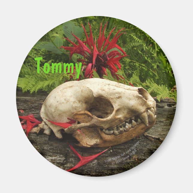 Íman Crânio de Raccoon com samambaias e Monarda vermelh (Frente)