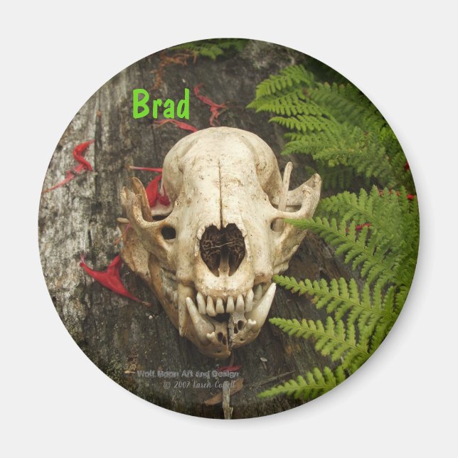 Íman Crânio de Raccoon com samambaias e Monarda vermelh (Frente)