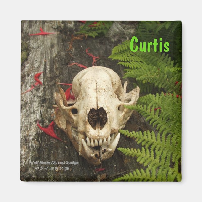 Íman Crânio de Raccoon com samambaias e Monarda vermelh (Frente)