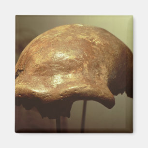 Íman Crânio de um Neanderthal