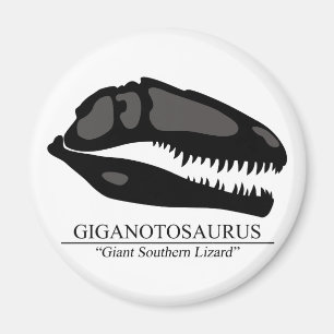 Íman Crânio do Giganotosaurus