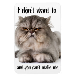 Íman Cranky kitty flexible magnet, "I don't want to..."