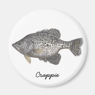 Íman CRAPPIE, Crappie