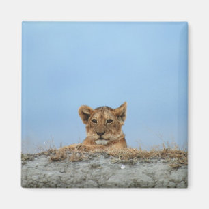 Íman Cratera de Ngorongoro, Tanzânia