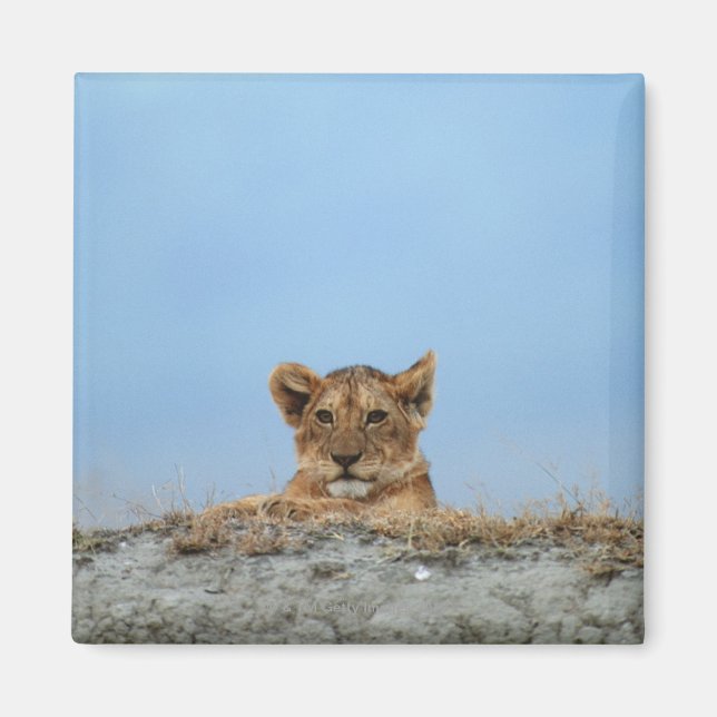 Íman Cratera de Ngorongoro, Tanzânia (Frente)