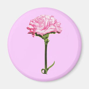 Íman Cravo Rosa