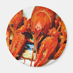 Íman Crawdads Craytfish dos lagostins