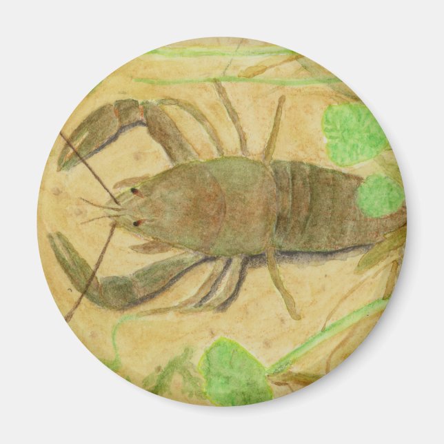 Íman Crayfish (Frente)