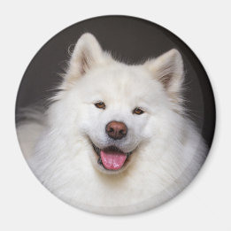 Íman CRB Smiling Magnet