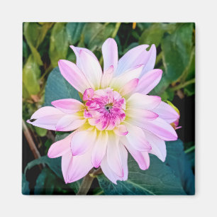 Íman Creme e flor rosa
