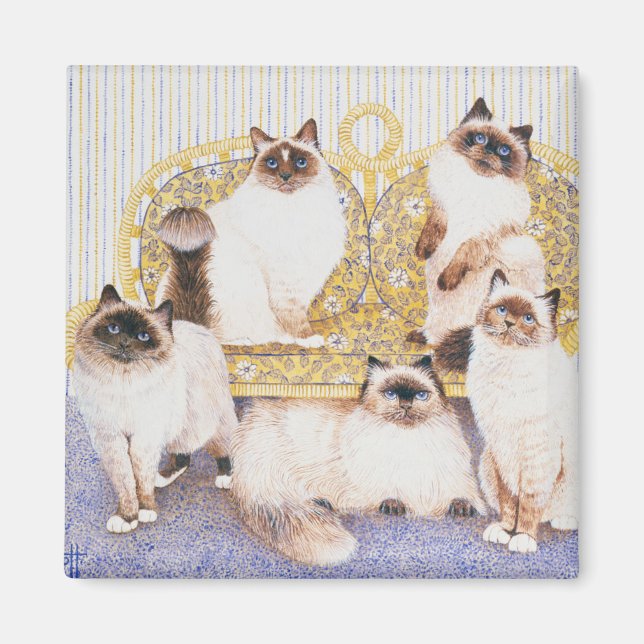 Íman Cremes de chocolate (Frente)