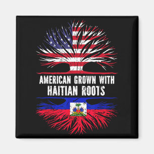 Íman Crescido Americano Com Raízes Haitianas Bandeira D