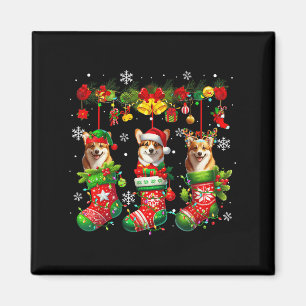 Íman Criança Proprietária Do Dentro Xmas, Meias, De Trê