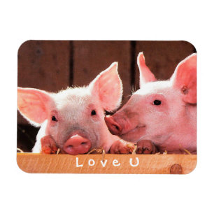 Íman Criar seu próprio amor engraçado da foto você