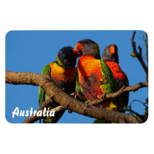 Íman Criar seu próprio ímã da foto