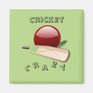Íman Cricket Magnet