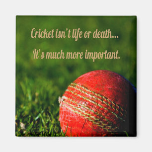 Íman Cricket Red Ball Motivação Engraçada