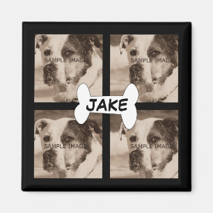 Íman Crie o seu   Instagram 4 Fotografias de Cães de Pe