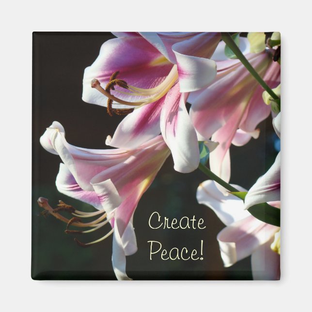 Íman Crie Paz! ímã Flores de Lírio Rosa Branco (Frente)