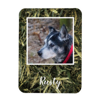 Íman Crie seu próprio ímã de fotos de estimação