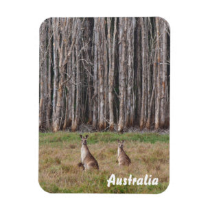 Íman Crie seu próprio ímã fotográfico