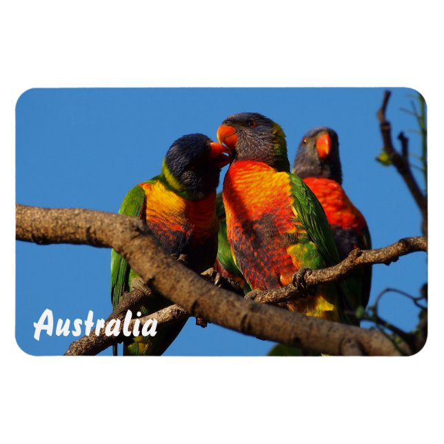 Íman Crie seu próprio ímã fotográfico (Horizontal)