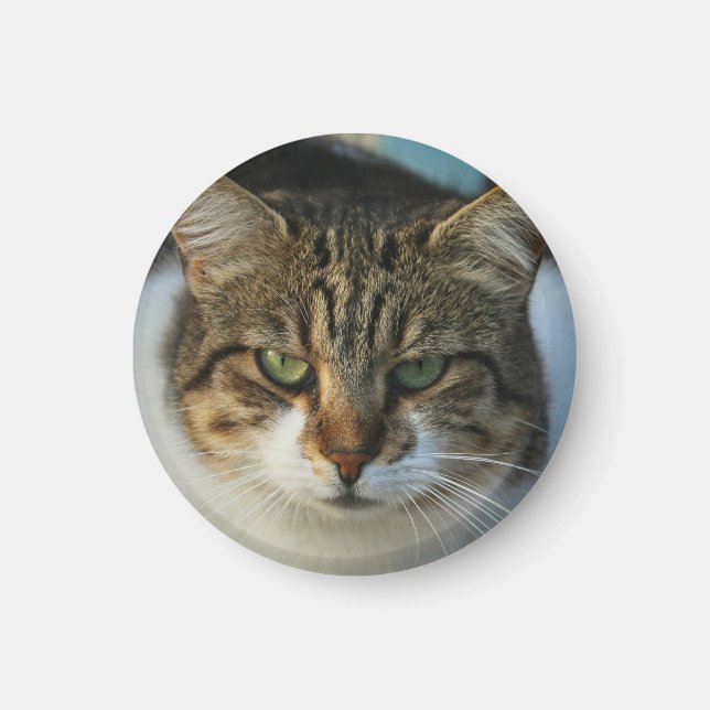 Íman Crie Seu Próprio Presente de Foto Personalizada do (Frente)