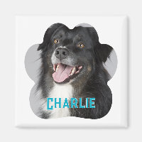 Crie Sua Própria Foto De Cão De Pet