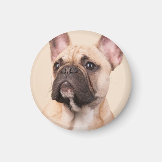 Íman Crie Sua Própria Foto Personalizada de Animal de E (Frente)