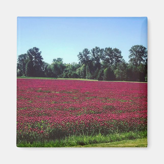 Íman Crimson Clover Field, Oregon (Frente)