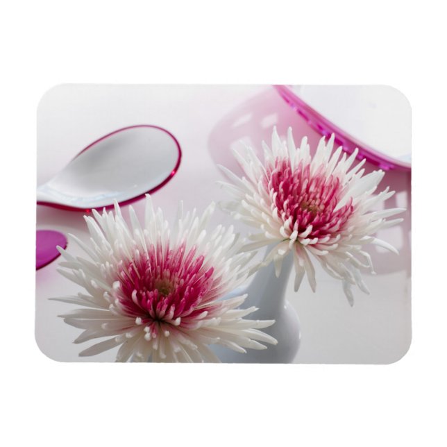 Íman Crisântemos (Horizontal)