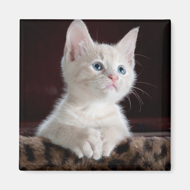 Íman Cristóvão Branco Vulnerável (Frente)