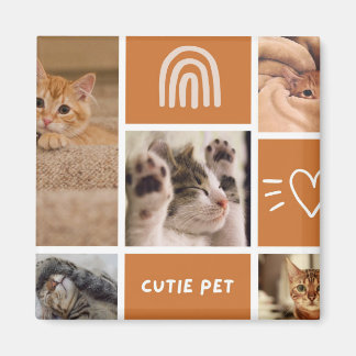 Íman Critério De Encaixe: Escolha Sua Pet Plush Perfeit