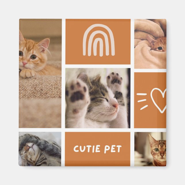 Íman Critério De Encaixe: Escolha Sua Pet Plush Perfeit (Frente)