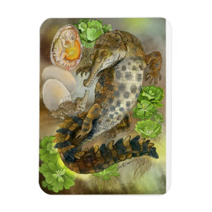 Íman Crocodilo Socado