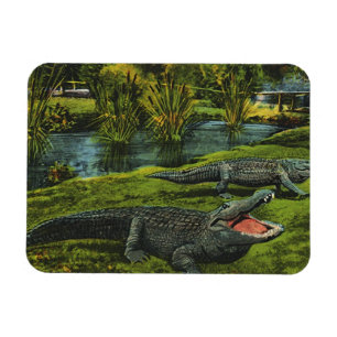 Íman Crocodilos Antigos, Répteis de Vida Marinha Animai