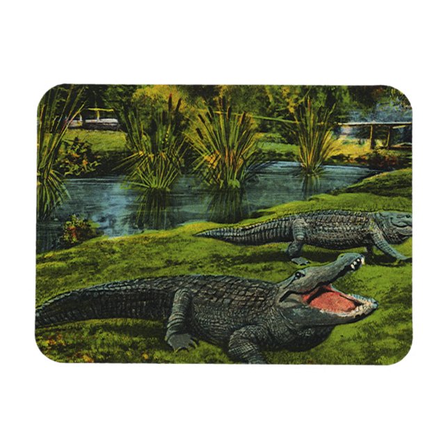 Íman Crocodilos Antigos, Répteis de Vida Marinha Animai (Horizontal)