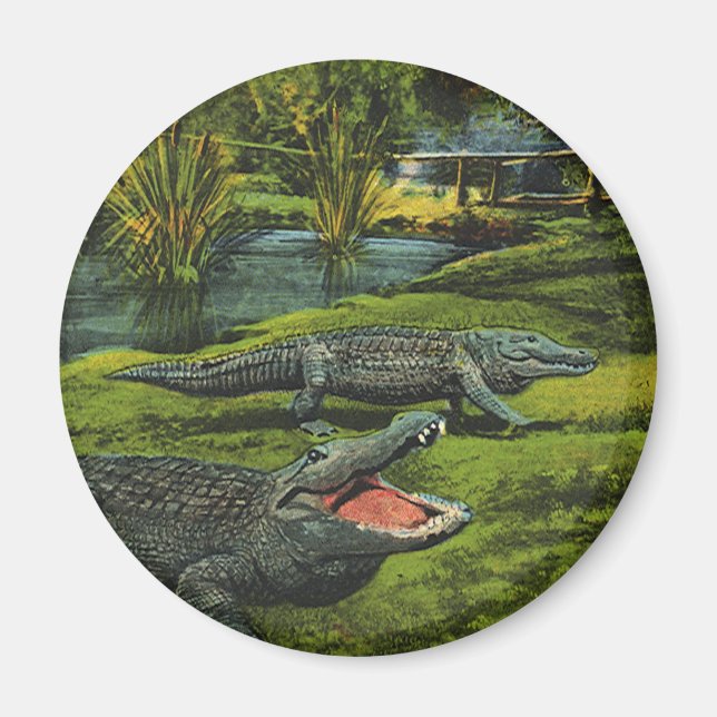 Íman Crocodilos Vintage, Animais da Marinha Répteis (Frente)