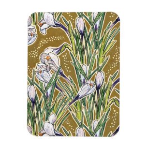Íman Crocus Flowers Primavera Floral Botânica