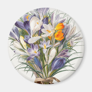 Íman Crocus Primavera Fllower Arte Floral