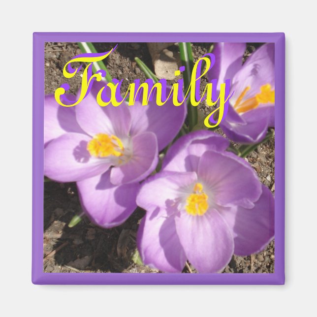 Íman crocusfamilymagnet (Frente)